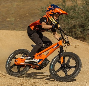 Electric Bikes