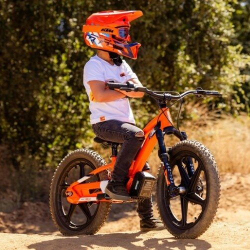 Stacyc/Electric Balance Bikes