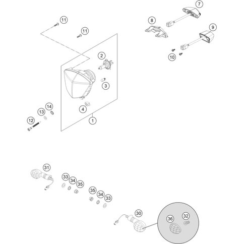 LEUCHTHAUBE LI./RE.         05