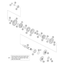 Kettenritzel 17-Z gedämpft 03