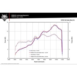 REMUS Auspuff Sport Flow KTM Duke RC 125 250 200 390 2017-20