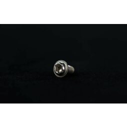 License plate light bolt