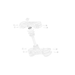 Top Steering Head bearing O-ring