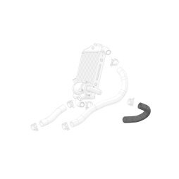 Radiator Hose water pump inlet