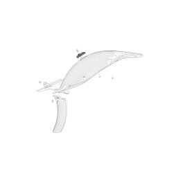 Rear fender cable bracket