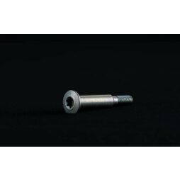 Handguard top mounting bolt (1 unit)