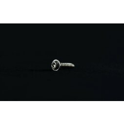 Homologation license plate holder bolt (1 unit)