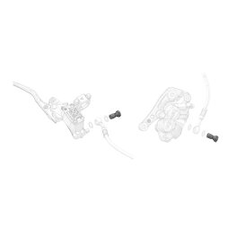 Banjo bolt Brembo master cylinder