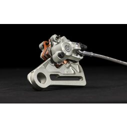 Rear brake caliper assembly