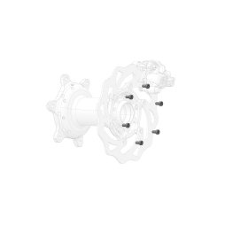 Rear brake disc screw (1 unit)